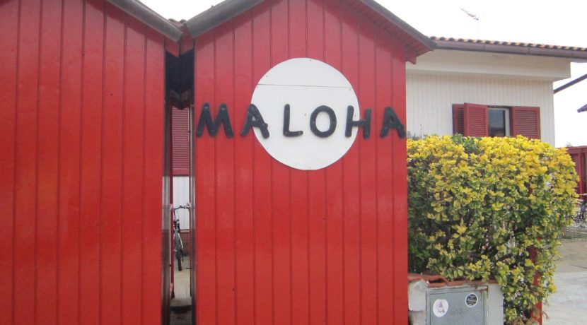 MALOHA