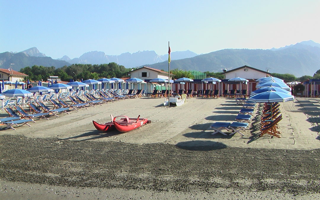 Oliviero